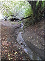 The lower stream and bank next to the pathway