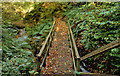 Footbridge, Cregagh Glen, Belfast (2)