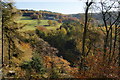 View across Wildboarclough