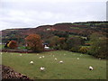 Glyndyfrdwy schoolhouse