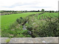 An unnamed tributary of the Mullagh River east of the Brackenagh West Road 