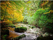 J3331 : The Shimna River, Tollymore Forest Park by Rossographer