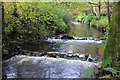 Weirs on the Burn of Cullen