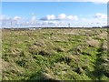 Derelict land northeast of Bentley