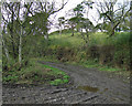 Track near the Motte & Bailey