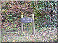 Olivet sign