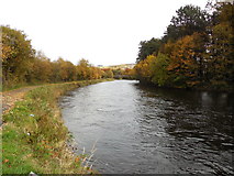 NS3979 : River Leven at Place of Bonhill, Renton by coughlan