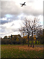 Rose Vale Park, Under the Flight Path