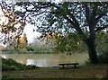 Fourwents Pond, Holmwood Common (1)