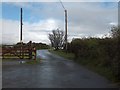 Cattle grid between Horndon and Zoar