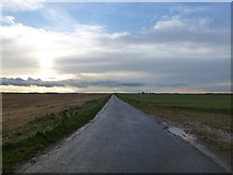 TL3899 : Big sky and flat fields - The Fens by Richard Humphrey