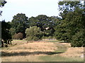 High Weald Landscape Trail near to Decoy Pond