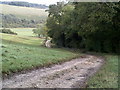 On the Brenda Parker Way near to Faccombe