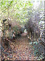 Footpath to the B1117 Church Hill