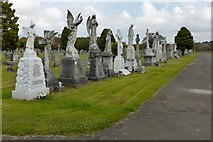 NS5769 : Statues in St Kentigern's R.C. Cemetery by Lairich Rig