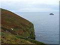 Steep cliffs on the east side of Newdowns Head