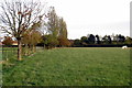 Pasture near Sherington