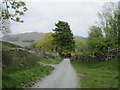 NY4002 : Robin  Lane  (track)  down  into  Troutbeck by Martin Dawes
