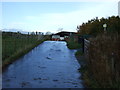 Track towards the River Eden (footpath)