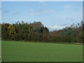 Farmland towards Healds Wood