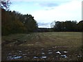 Farmland near Corby Hill