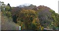 NY4857 : Autumn colours, Corby Lea by JThomas