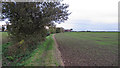 Footpath and arable field