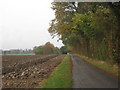 Road to Park Farm in autumn