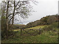 Field entrance near Craig-y-nos