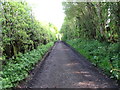 The Divis Service Road above the gate on Glencarn Road