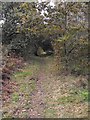 Beacon Quarry near Beacon Road