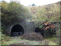 Old railway tunnels at Gellifelin in the Clydach Gorge