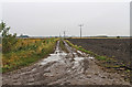 TF1351 : Muddy farm track off Black Drove by J.Hannan-Briggs