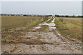 Muddy farm track with puddles