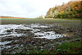 Arable land near Laurel Wood