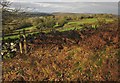 Fields by the byway above Leighon