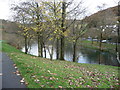 Cwmtillery Lakes