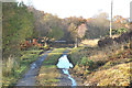 Gated farm road to Achnameadhonach