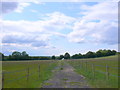 Horse Paddocks near Wickhamford