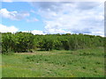 Orchard at Wickhamford