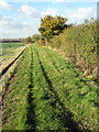 Footpath along the field edge to Olney