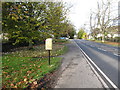 Golden post box on the side of the normally very busy A24