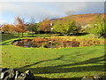 Duckpond at Achnasheen