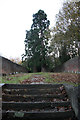 SJ6604 : Coalbrookdale - Quaker Burial Ground by Chris Allen