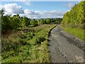 Track from Highdykes Farm