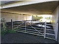 River Lliw passes under M4 south-west of Pontlliw (2)