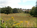 A view east from Brickyard Lane, Newport