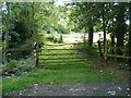 Bent top bar on a field gate, Brickyard Lane, Newport