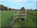 Stile, Lower Westfield Farm