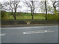 Audenshaw Reservoir #1 embankment